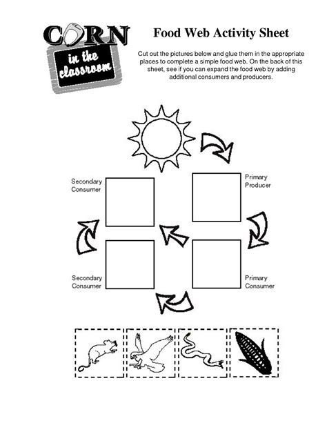 Food Webs And Food Chains Worksheet | Food Chain Printable Worksheets ...