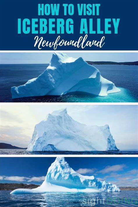 How to See Icebergs in Newfoundland — sightDOING