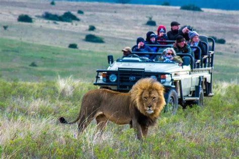 South African Safari with Kids near the Garden Route - Trekaroo Family ...