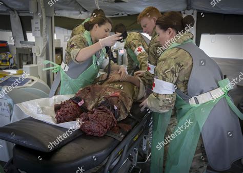 Emergency Ied Injury Operation Drill New Editorial Stock Photo - Stock ...