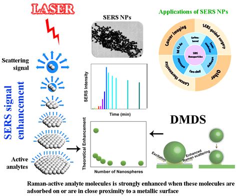 Processes | Free Full-Text | Spectroscopic Methods for the Detection of Microbial Pathogens and ...