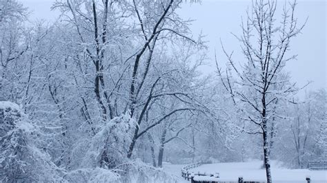 Light snow accumulation expected in Arkansas | KATV