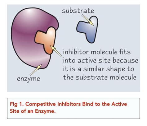 Enzyme Inhibitor Examples