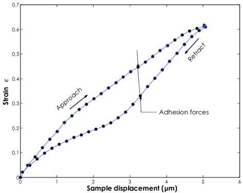 Dimensionless strain per module length ε as function of the sample... | Download Scientific Diagram