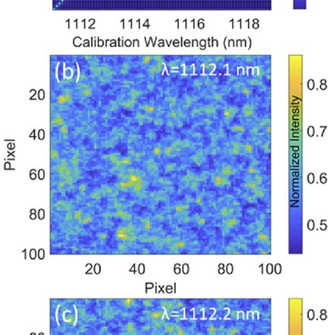 (a) Spectrometer calibration: comparison between reconstructed ...