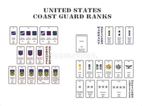 United States Coast Guard Ranks on White Background Stock Vector ...