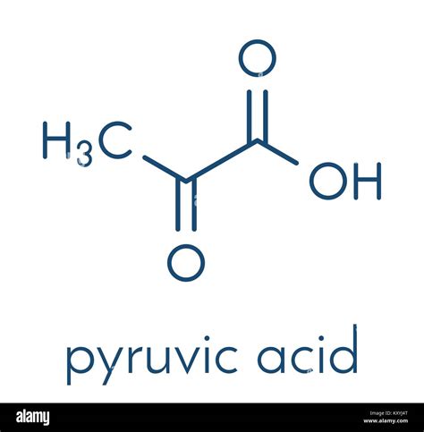 Pyruvic acid (pyruvate) molecule. Important intermediate in a number of ...