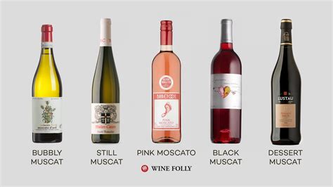 Muscat Grape Wine | truongquoctesaigon.edu.vn