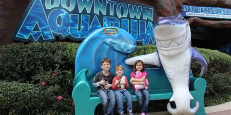 Downtown Aquarium, Houston - Tickets & Eintrittskarten | GetYourGuide