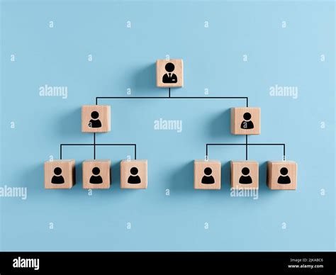 Org Chart Clipart Bally