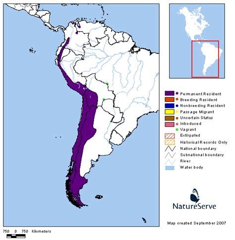 Americas Range Map - Andean Condor | BirdPhotos.com