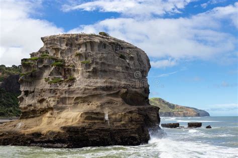 View of Muriwai Beach, North Island, New Zealand Stock Image - Image of ...