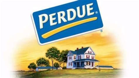 Perdue Farms Invests in Plant-Based Alternatives - vegconomist - the ...