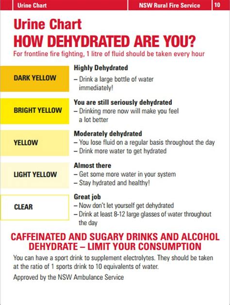 How dehydrated are you? Handy dehydration chart for hikers Health Chart ...