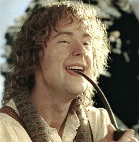 It's obvious, isn't it? : Photo | Lord of the rings, The hobbit, Merry and pippin