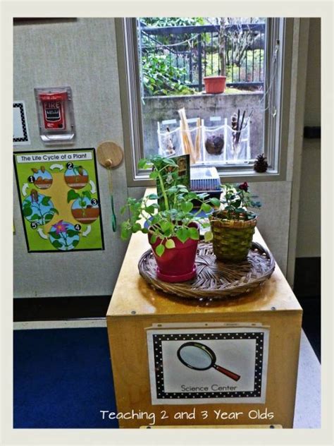 How to Set Up a Science Center for Preschoolers in a Small Space ...