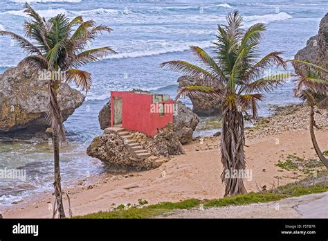 Derelict Hut On Bathsheba Beach Barbados West Indies Stock Photo - Alamy