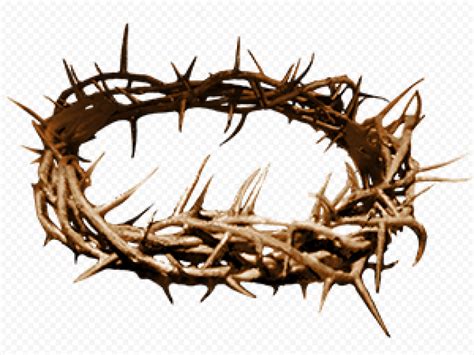 Crown Of Thorns Christian Spines Christianity | Citypng