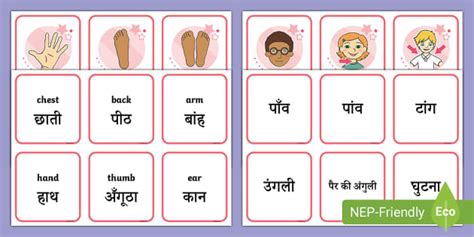 Body Parts Word and Picture Matching Cards in Hindi - Twinkl