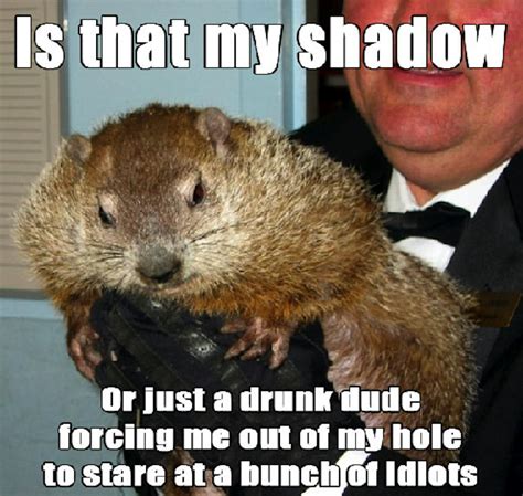 These Groundhog Punxsutawney Phil Memes Will Get You Through The Cold ...