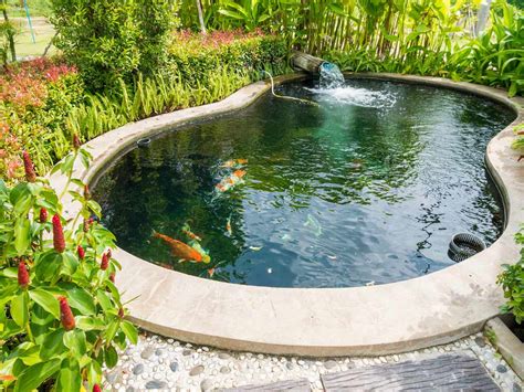 How to clean a koi pond - Ponds Guide