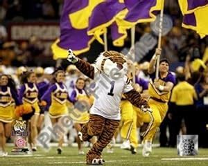 Amazon.com: Louisiana State University Lsu Tiger Mascot 2008 10 x 8 ...