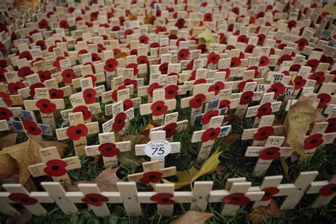 Even during the battle over Brexit, the Remembrance Day poppy endures ...