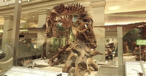 Inside the Smithsonian’s newly-renovated dinosaur hall