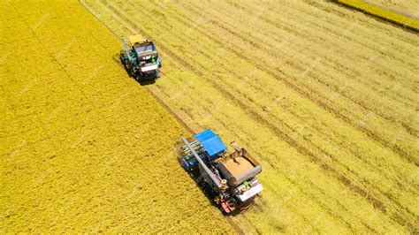 Premium Photo | Aerial view of Harvester machine working in rice field from above