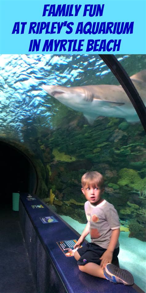 Family Fun at Ripley's Aquarium in Myrtle Beach