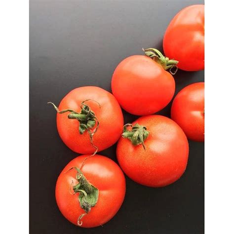 Tomato – Boondie Seeds