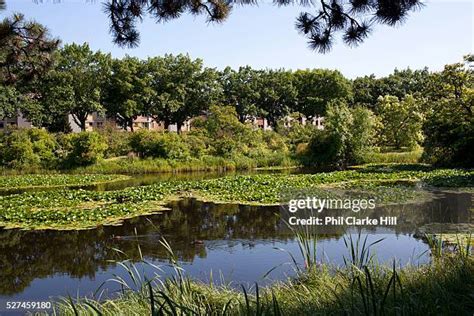 1,515 Berlin Botanical Garden Stock Photos, High-Res Pictures, and Images - Getty Images