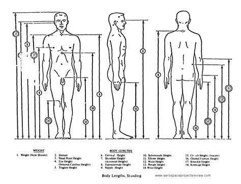 Anthropometric Standing: Body Length and Diagram