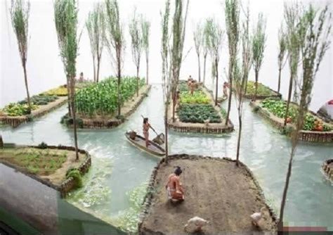 'Chinampas': The Ancient Aztec Floating Gardens that hold promise for ...