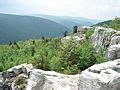 Allegheny Mountains - Wikipedia