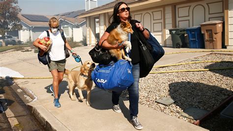 Animals affected by California wildfires