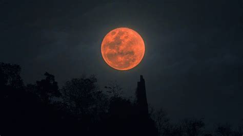 Super Blood Moon 2021: How to photograph tonight's 'Flower Blood Moon ...