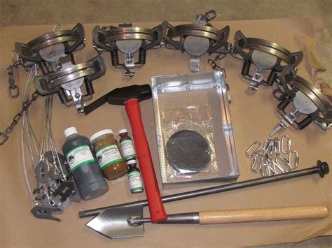 Coyote Trapping Package 12 duke #3 coil spring OS kit Fox Coyote ...