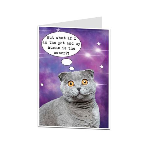 Funny Birthday Card. Cat Card. Birthday Card From Cat. Card - Etsy