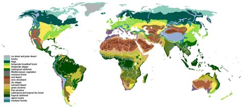 Biome - Wikipedia