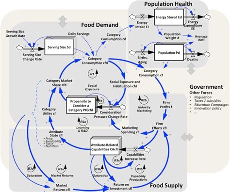 Major feedback loops in the model. | Download Scientific Diagram