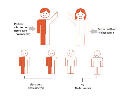 Thalassemia | LLRF