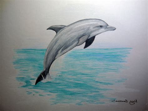 Dolphin Pencil Drawing at GetDrawings | Free download