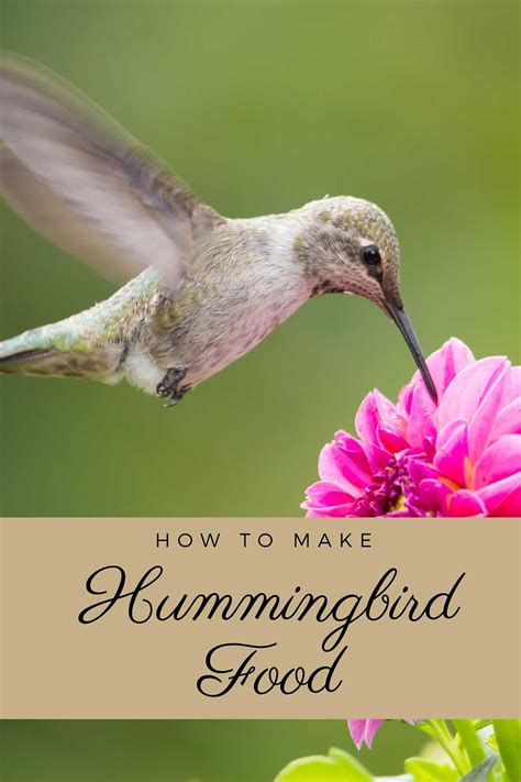 Best Homemade Hummingbird Nectar - Easy, Safe And Inexpensive ...