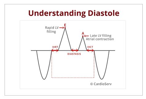 Understanding Diastole Cardioserv