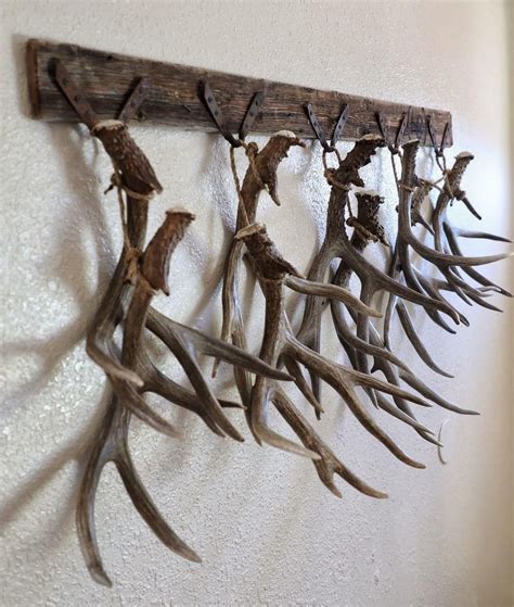 Rustic Shed Antler Display | Deer head decor, Deer hunting decor, Deer decor