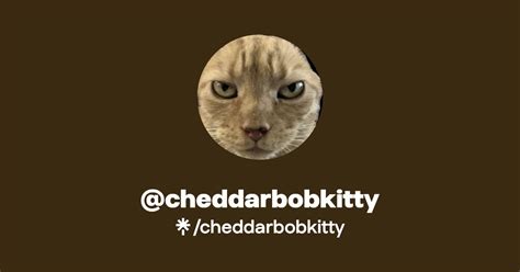 cheddarbobkitty | Instagram, TikTok | Linktree