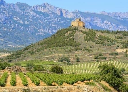 La Rioja Wine Tour: Luxury Transport, Private VIP Tastings & Gourmet Dining