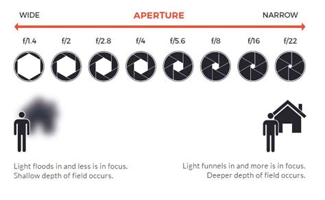 What is Aperture? Understanding F-Stop in Photography