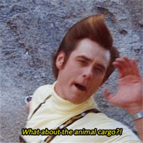 Jim carrey ace ventura ace ventura when nature calls GIF on GIFER - by Mazuktilar